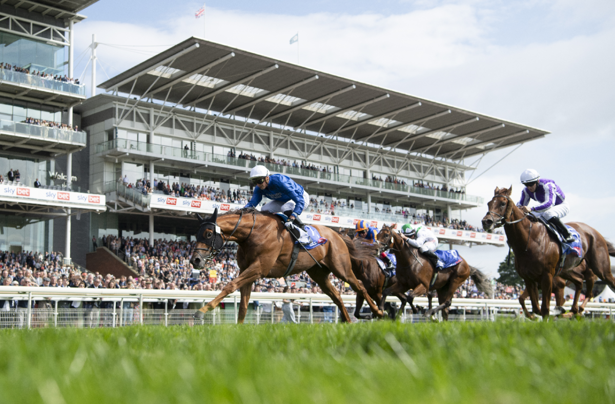 York Ebor
